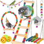 bird cage accessories set