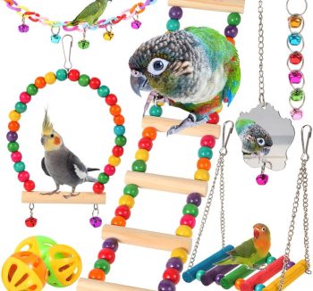 bird cage accessories set