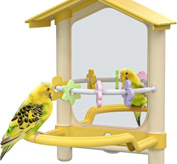bird toys for small birds