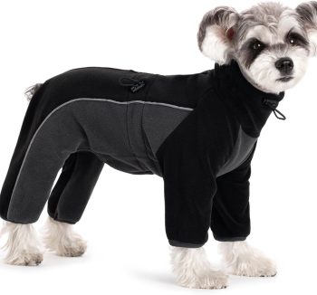 dog clothes winter