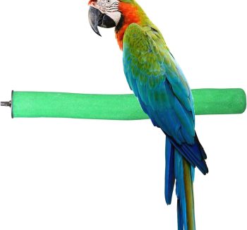 bird perch amazon best
