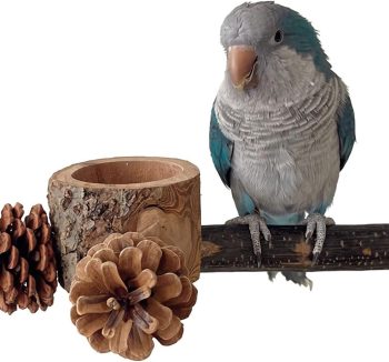 bird food for parrots
