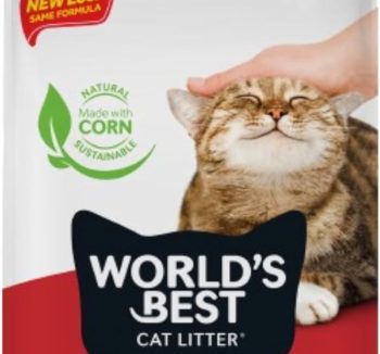 best cat litter
