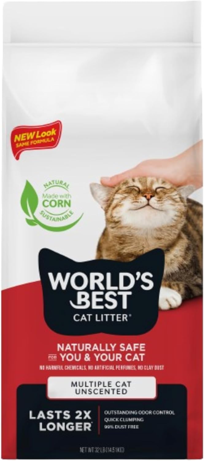 best cat litter