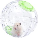 hamster ball exercise