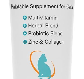 cat immune booster
