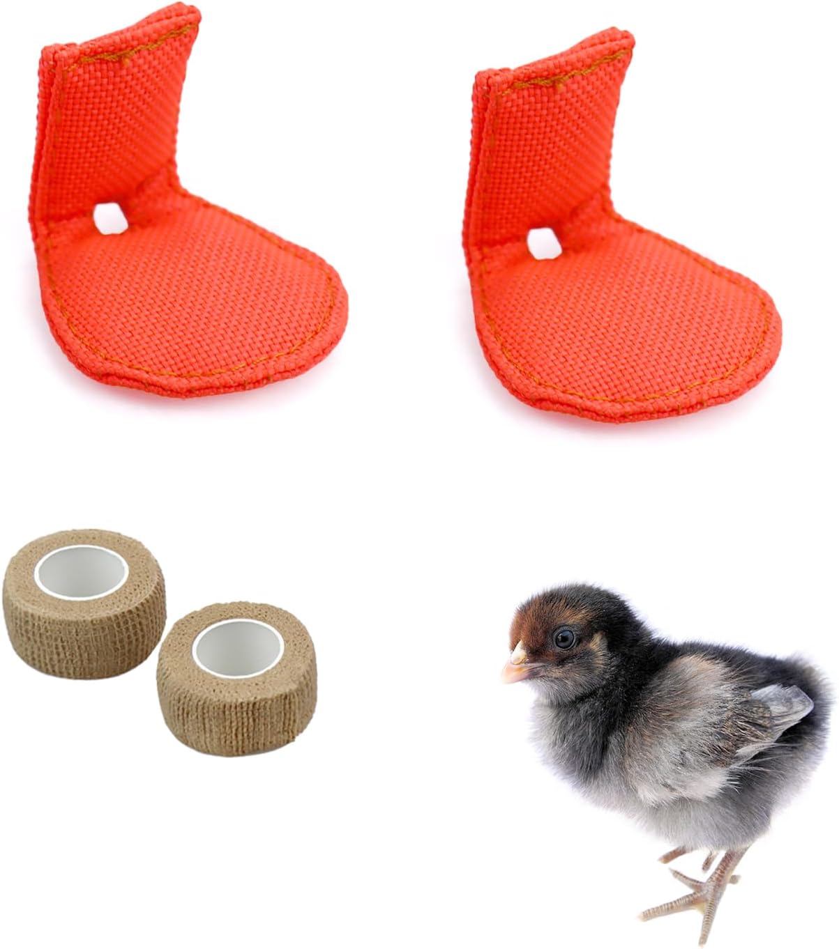 bird first aid kit