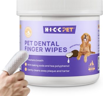 small pet health care