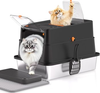 cat litter box for big cats