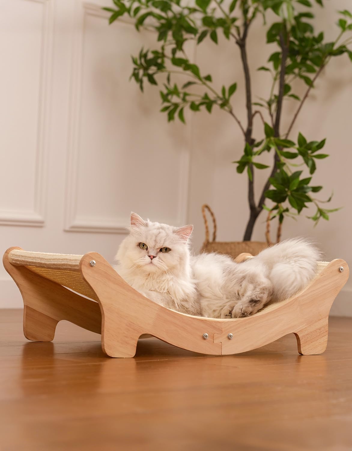 cat furniture modern
