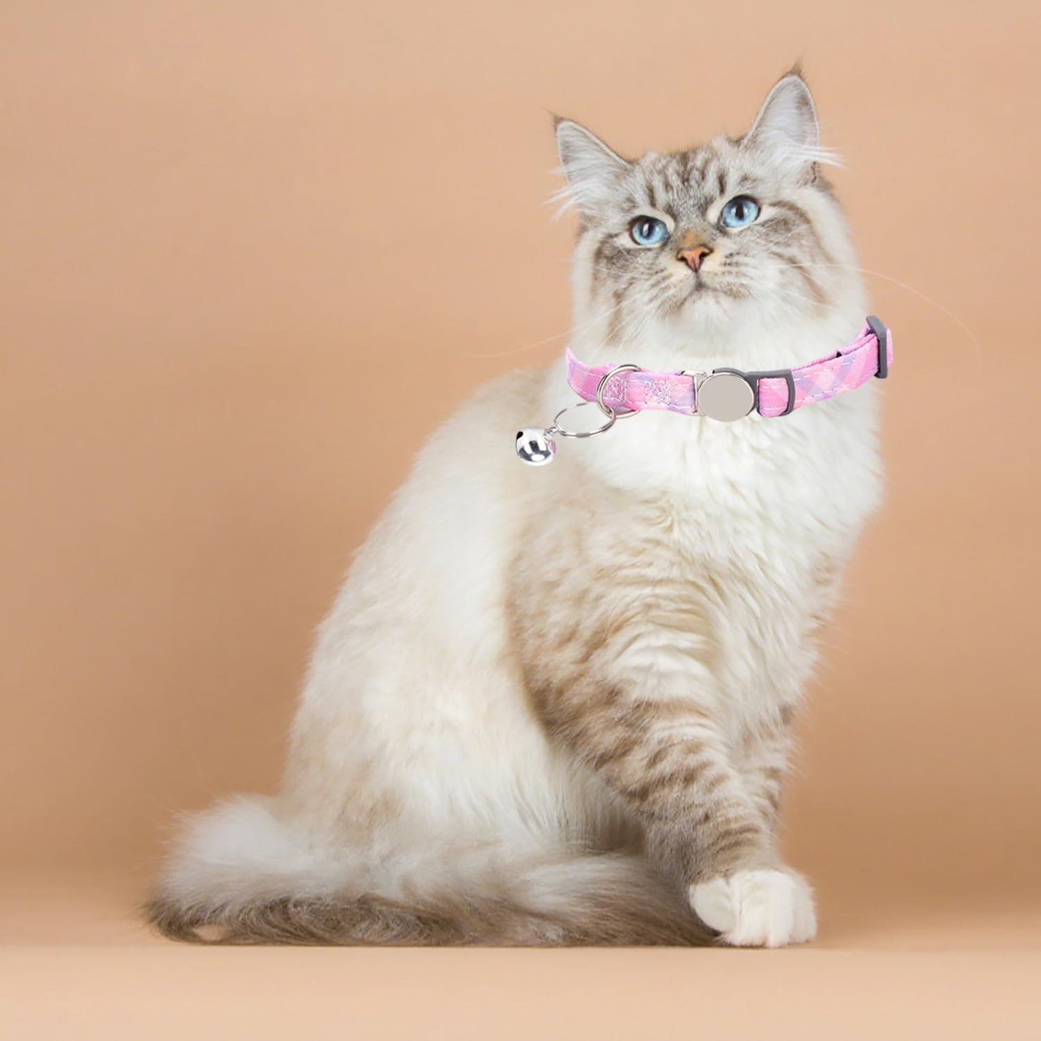 Custom Engraved Cat Collar with Name & Phone Number,Personalized Adjustable Buckle&Bell ID Tag Collar for Kittens&Cats - Happypetzone.online - Image 2