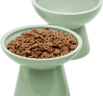 best cat food
