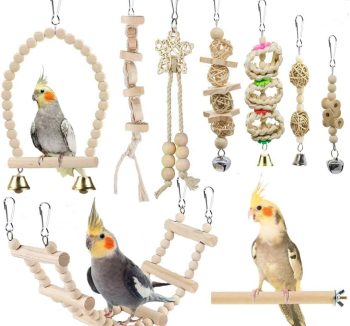 bird toys for cage
