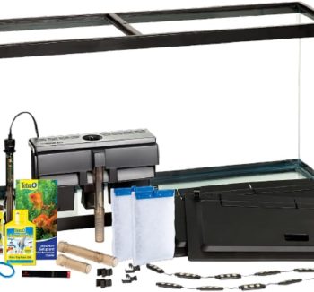 fish tank aquarium