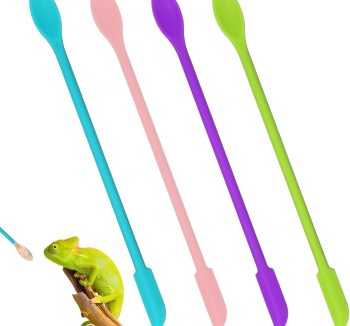 gecko food diet