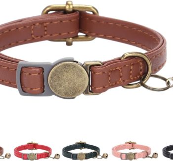 cat collar leather