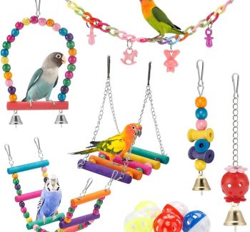 bird swing for birds