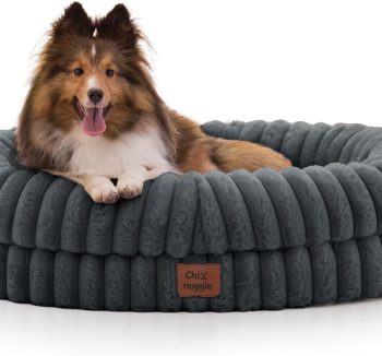 dog sofa bed