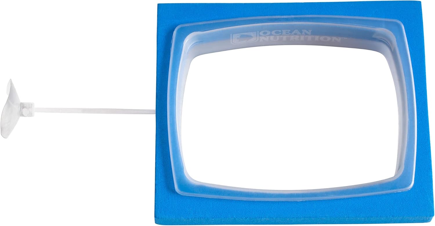 Feeding Station for fish - Happypetzone.online - Image 3