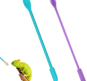 gecko food diet