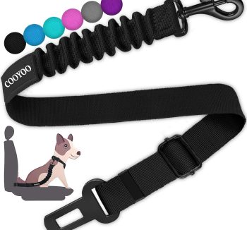 dog car seat belt
