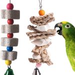 bird health amazon best