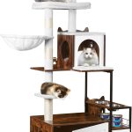 cat condo furniture
