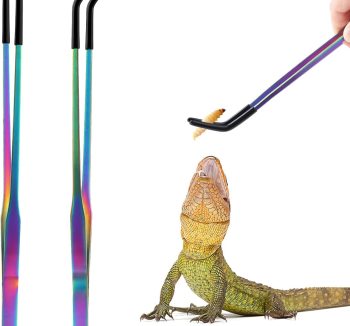 reptile feeding supplies