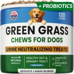 dog supplement chews