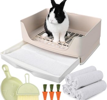 rabbit litter box setup
