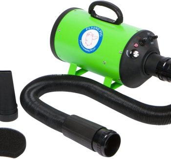 guinea pig grooming tools