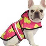 dog raincoat waterproof