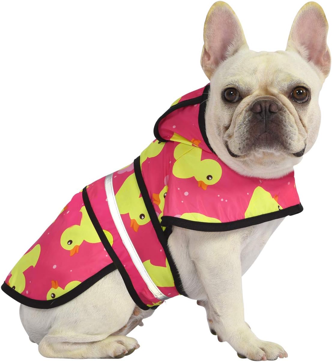 dog raincoat waterproof