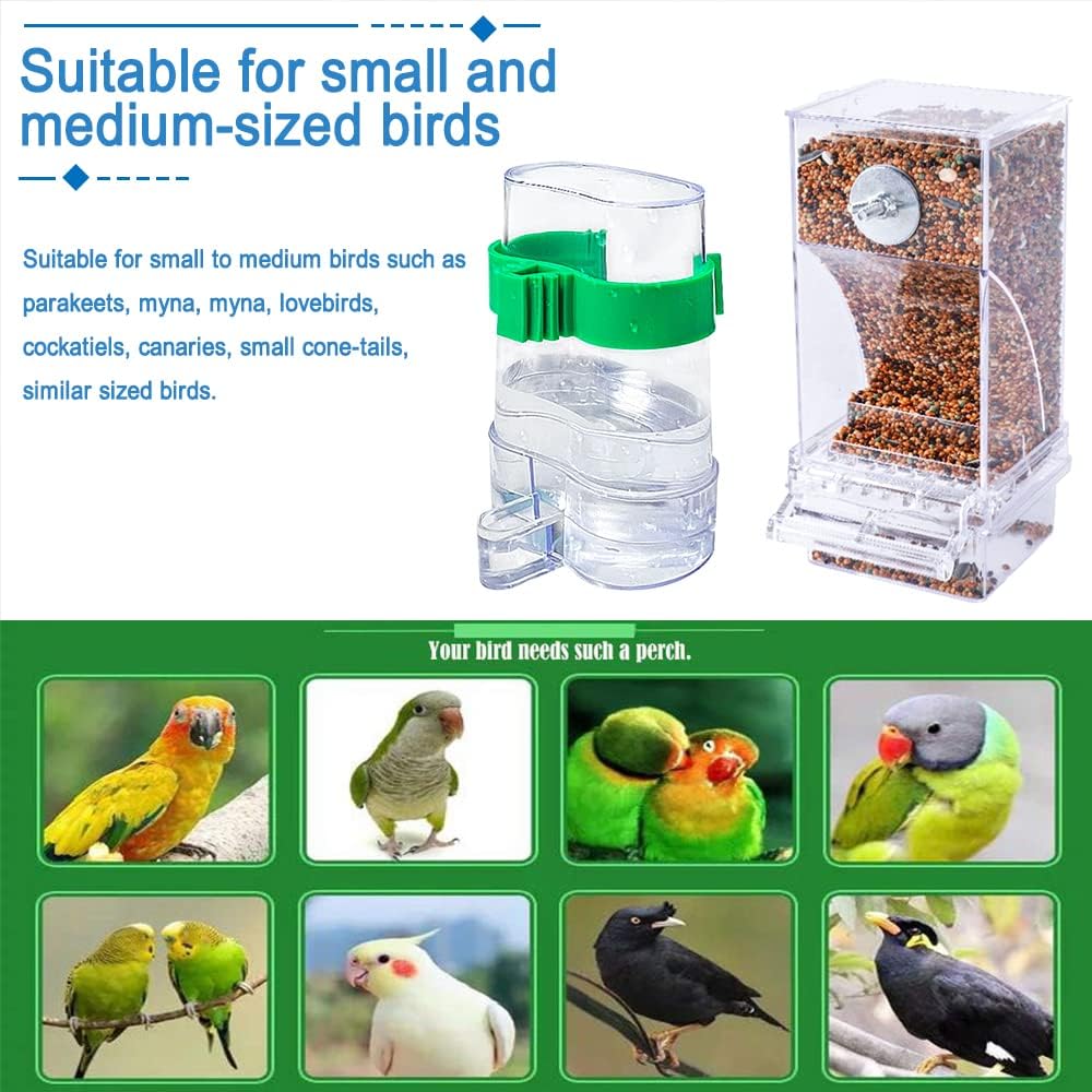 Hamiledyi No Mess Bird Feeders Automatic Parrot Feeder Drinker Acrylic Seed Food Container Parakeet Water Dispenser Cage Accessories for Lovebirds Budgies Canary Finch - Happypetzone.online - Image 7