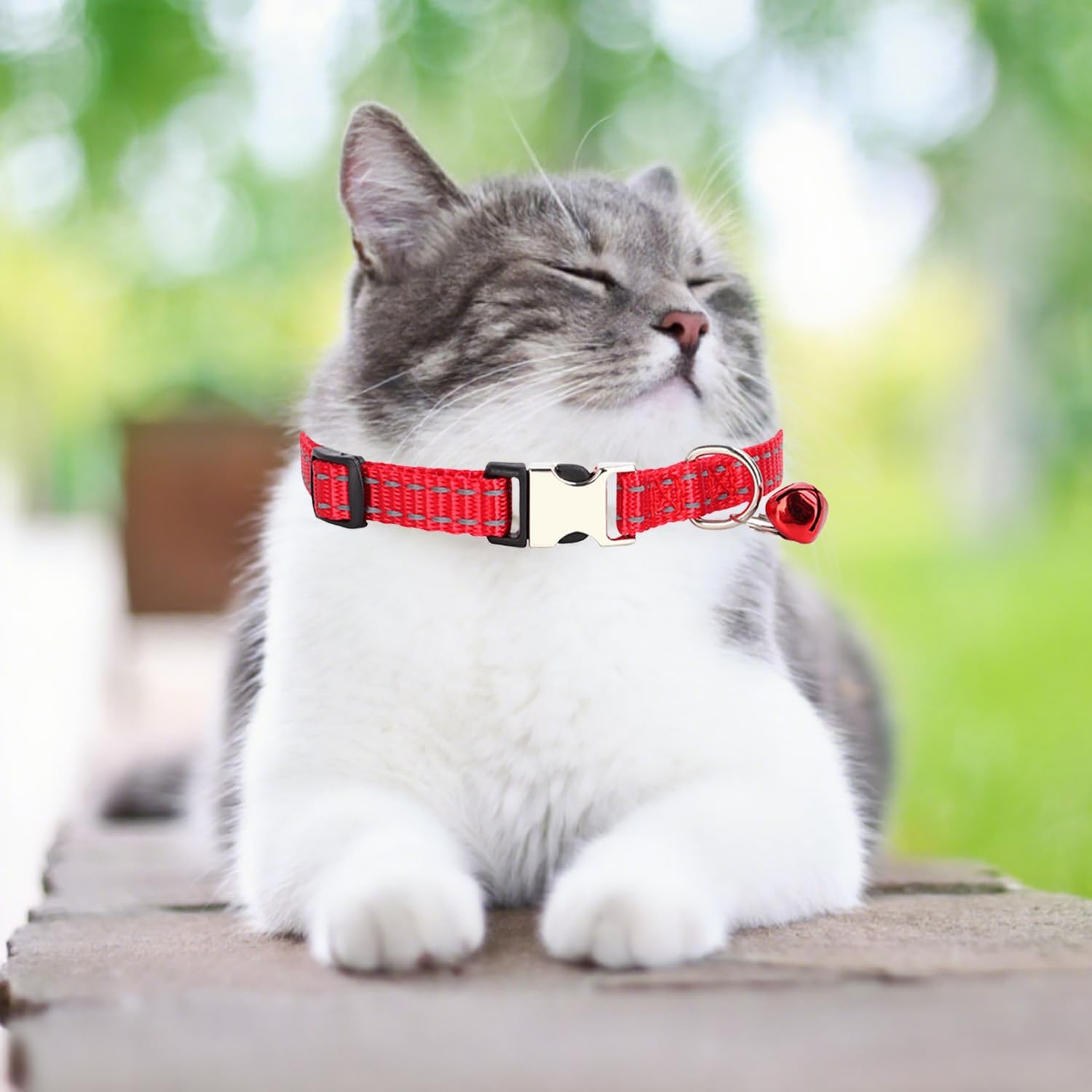 Custom Engraved Cat Reflective Collars with Name & Phone Number,Personalized Adjustable Buckle&Bell ID Tag Collar for Kittens&Cats - Happypetzone.online - Image 3