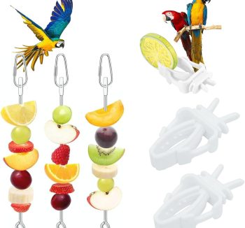 bird treats healthy