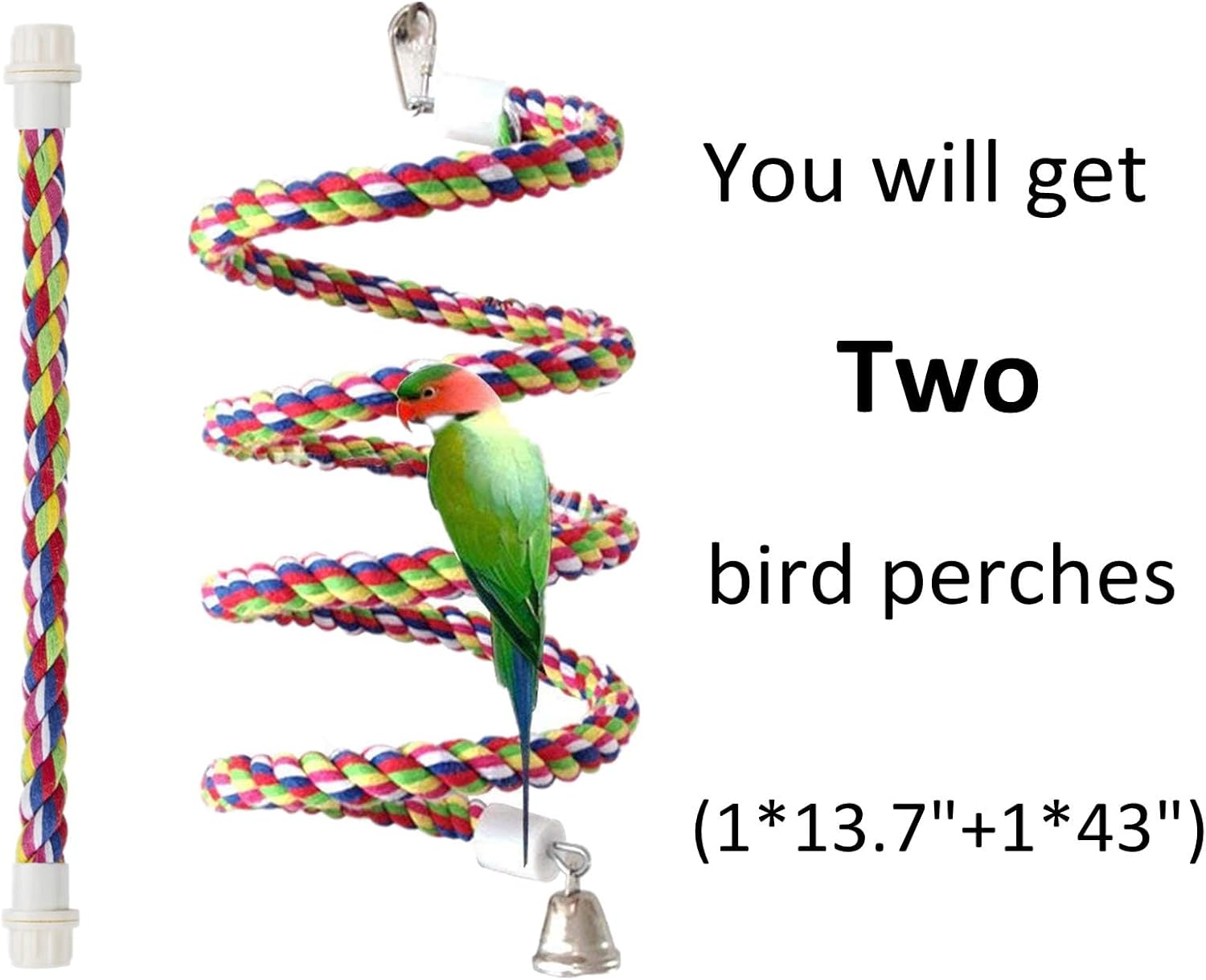 Rope Bungee Bird Toy, Small - Happypetzone.online - Image 2