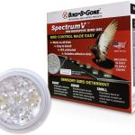 bird disease prevention products