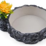 reptile food amazon best