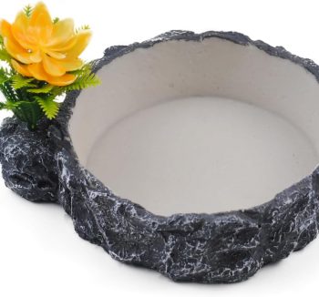 reptile food amazon best