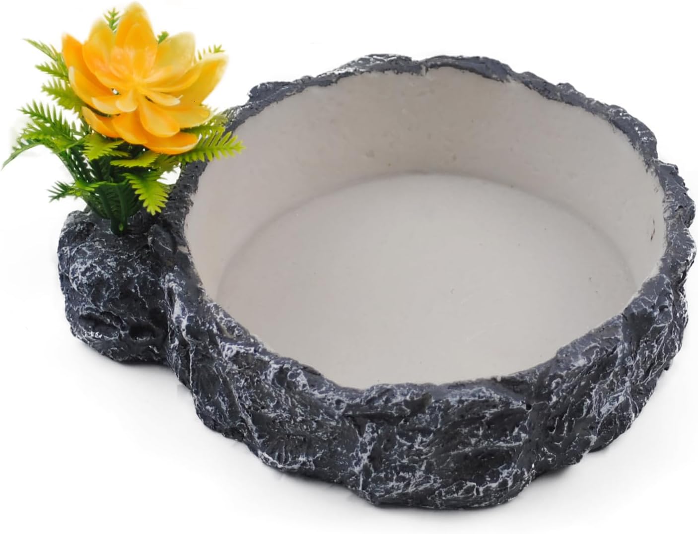 reptile food amazon best