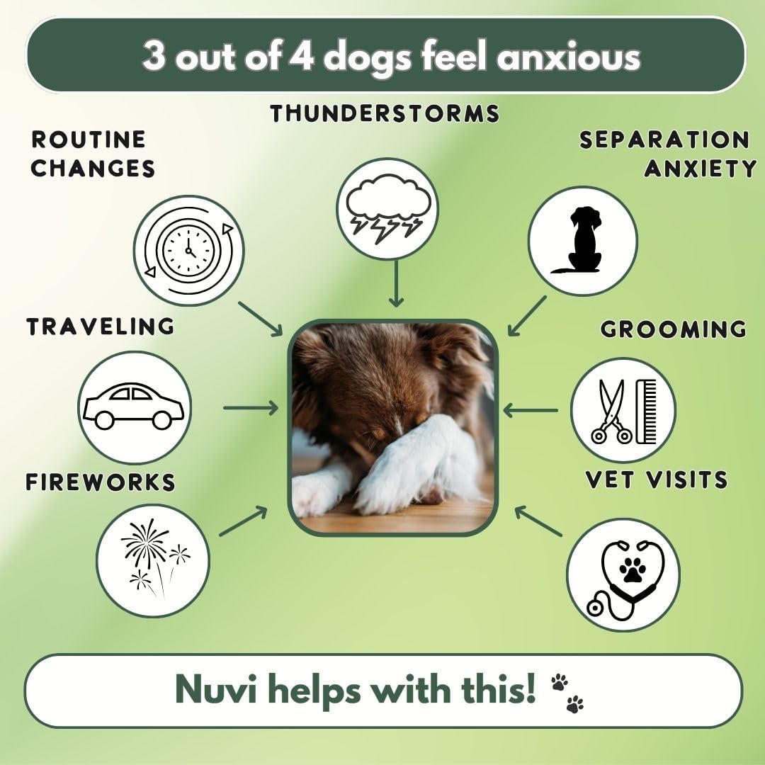 Nuvi Calming Chews for Dogs — Anxiety & Stress Relief Soft Chews | Non-Drowsy, Vet-Recommended Ingredients | Separation Anxiety, Fireworks, Travel | 90 Count - Happypetzone.online - Image 3