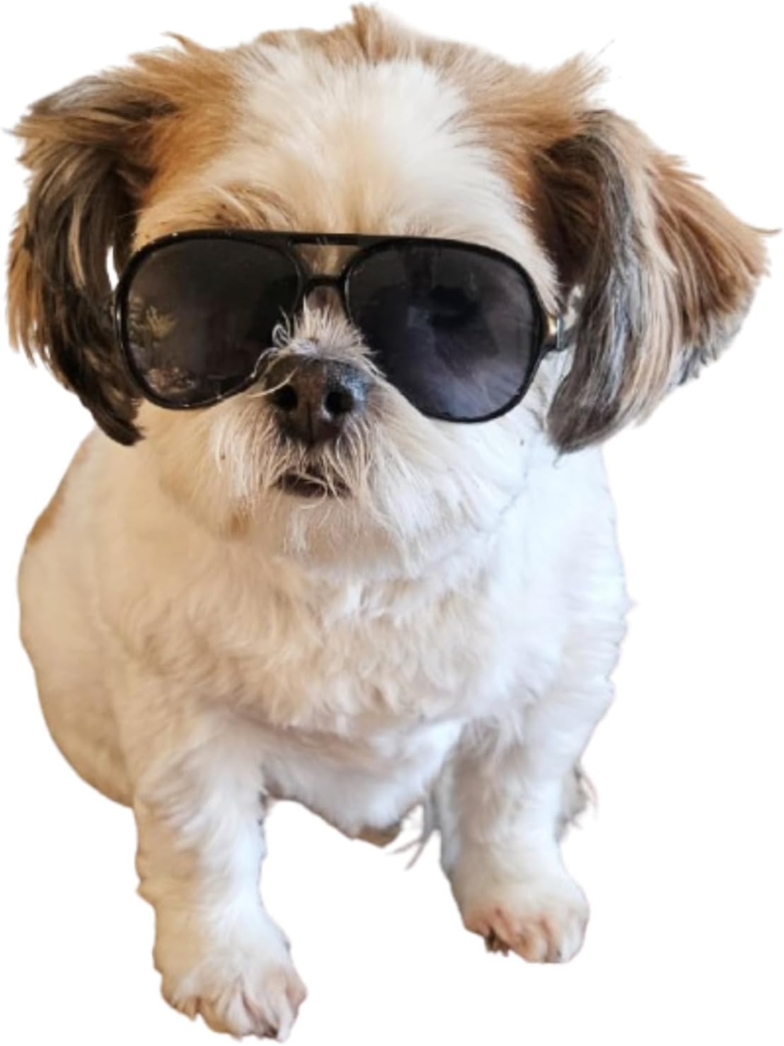 G029 Small Dog Breed up to 15lbs Cat Pet Aviator Sunglasses Glasses (Black) - Happypetzone.online - Image 5