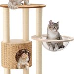 cat climbing furniture