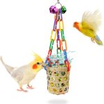 bird enrichment toys