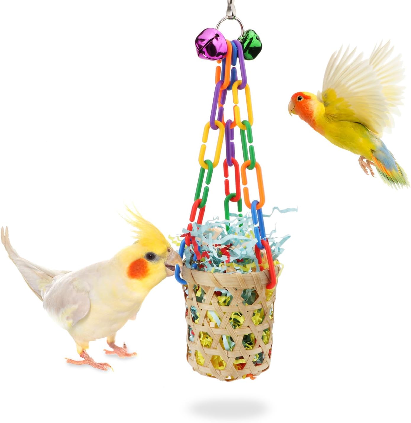 bird enrichment toys