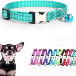 cat collar nylon durable