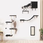 cat climbing furniture