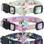 cat collar with bell