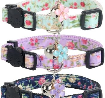 cat collar with bell